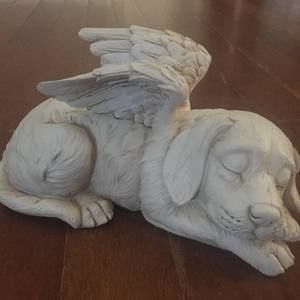 Meet your Posher, Cynthia